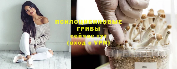 Альфа ПВП Абдулино