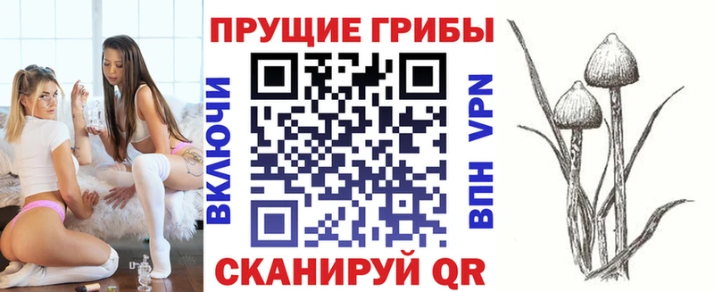 Галлюциногенные грибы Magic Shrooms  где купить наркоту  мега зеркало  Вышний Волочёк 